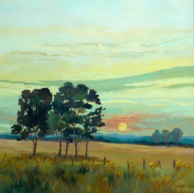 Sunrise by Barbara Cleary