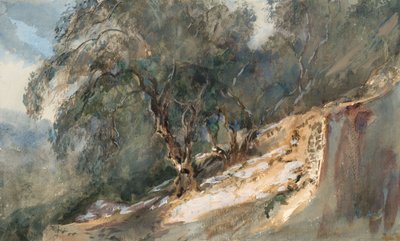 Landscape: Trees with Gnarled Trunks by Barbara Leigh Smith Bodichon
