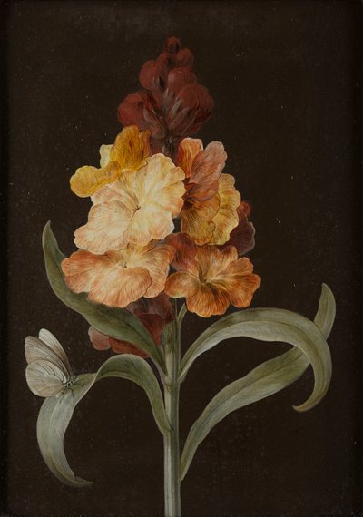 Set of Four Still Lifes with Butterflies by Barbara Regina Dietzsch