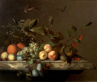 Fruit Piece with Dragonfly by Barend or Bernardus van der Meer