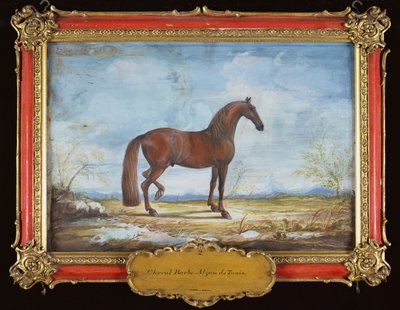 No. 2 Alzan de Tunis, a Barbary Horse of the Spanish Riding School by Baron Reis Eisenberg