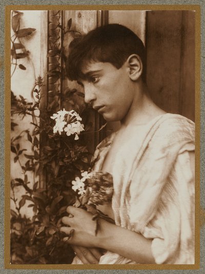 Sicilian Boy by Baron Wilhelm von Gloeden