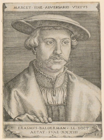 Portrait of Doctor Erasmus Baldermann by Barthel Beham