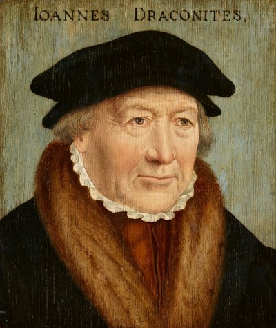 Portrait of Johannes Draconites by Bartholomaeus Bruyn the Elder