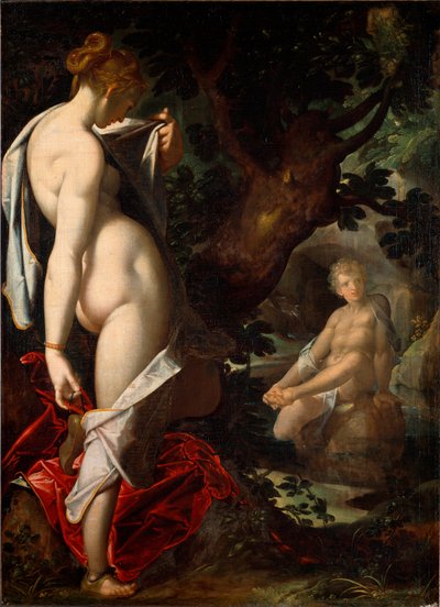 The naiad Salmacis admiring Hermaphrodite bathing in a spring by Bartholomaeus Spranger