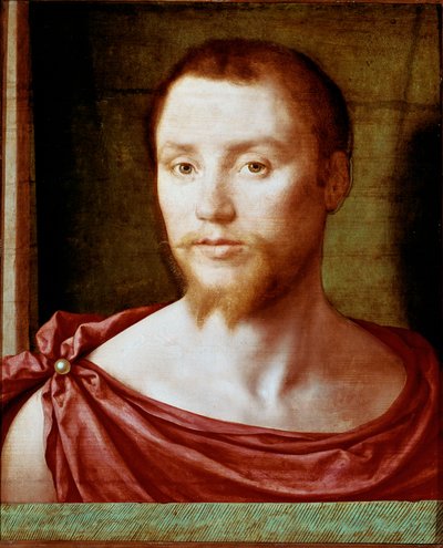 Portrait of Man with the Antique Red Man Face with Double-Pointed Beard by Bartholomeus (active 1518 1541) Pons