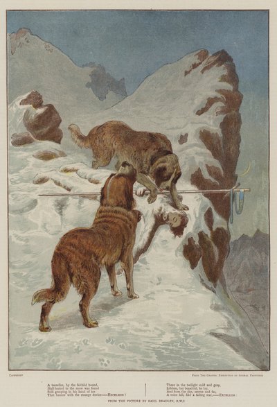 A Traveller, by the Faithful Hound by Basil Bradley