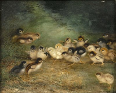 Twenty-one Chicks and a Bug by Ben Austrian