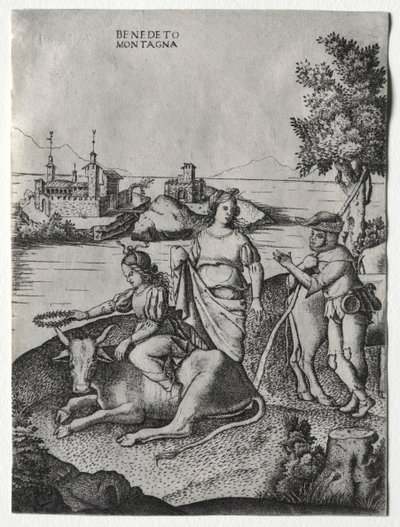 Rape of Europa by Benedetto Montagna