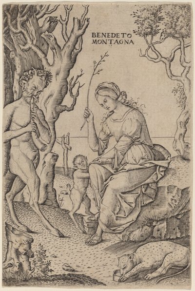 Satyr Family by Benedetto Montagna