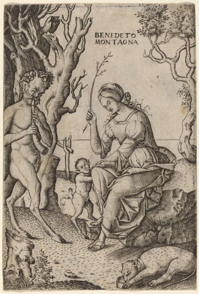 Satyr Family by Benedetto Montagna