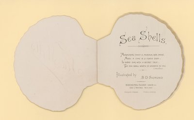 Illustration for Booklet Entitled Sea Shells by Benjamin D. Sigmund