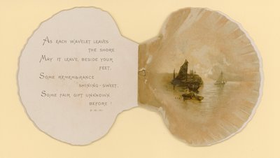 Illustration for booklet entitled Sea Shells by Benjamin D. Sigmund