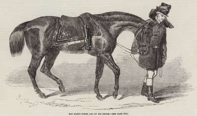 The Duke