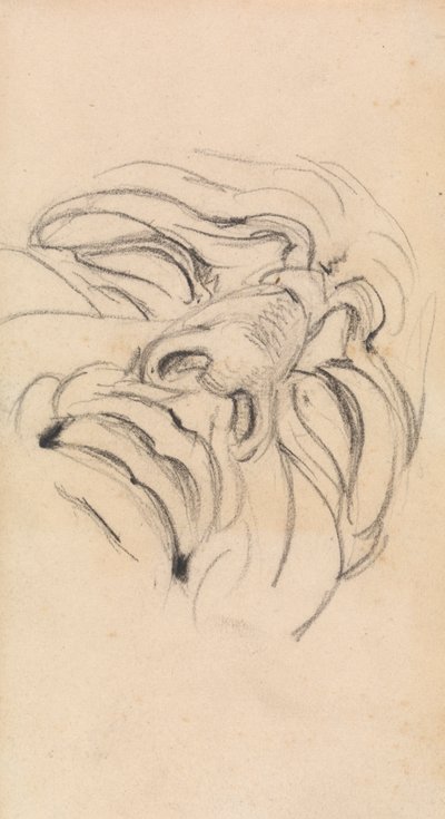 Study of a Man