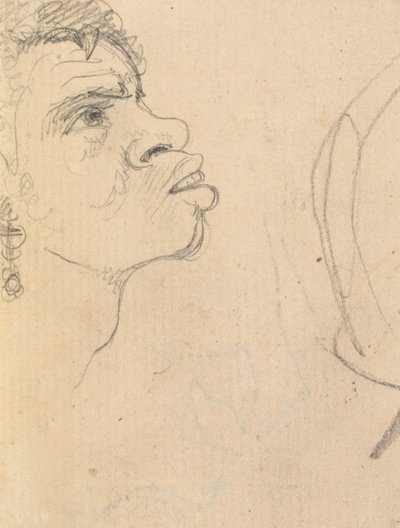 Study of an Ethnic Woman