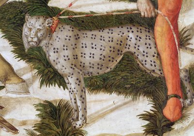 Leopard straining on a leash (detail) by Benozzo di Lese di Sandro Gozzoli