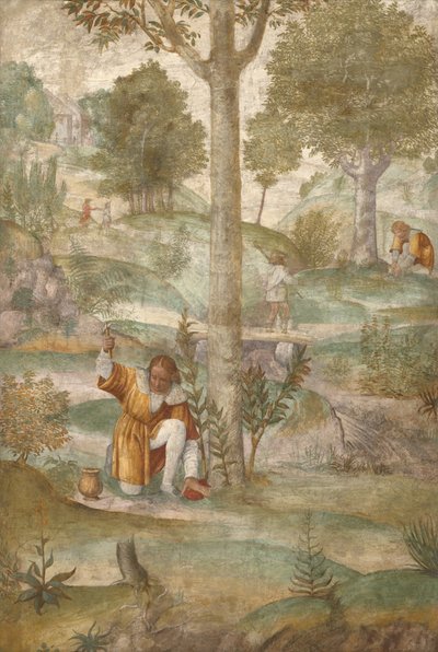 Cephalus Hiding the Jewels by Bernardino Luini