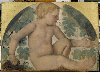 Harvesting Putti - Putto under a Pergola, c.1514 by Bernardino Luini