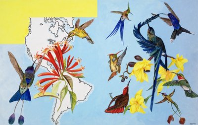 Birds by Bert Illoss