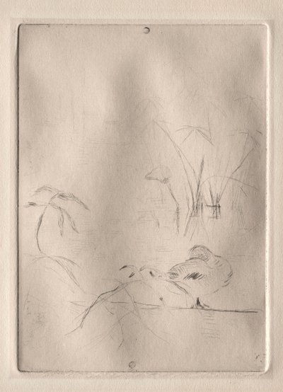 The Duck by Berthe Morisot