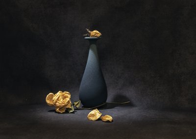 Melancholy Dried Roses by Betty Liu