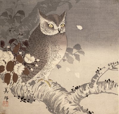 An Owl on a Tree Branch by Biho Takashi or Takahashi (b. 1873. fl 1890 1930)