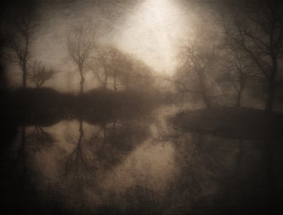 Misty Forest Reflection by Bill Eiffert