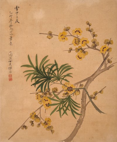 Album of Flowers by Bing Yun