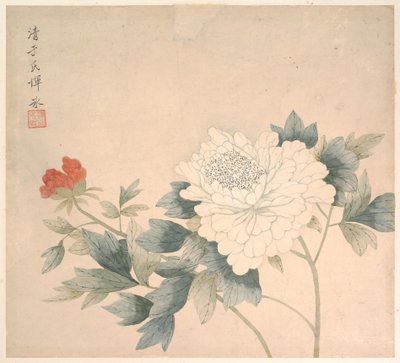 Flower Study by Bing Yun
