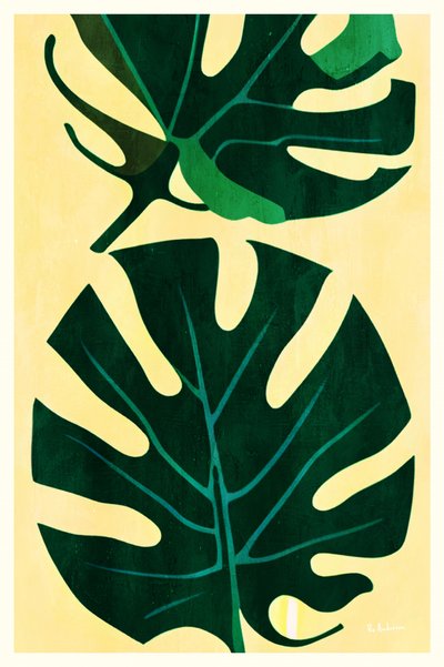 Tropical Monstera Leaves by Bo Anderson