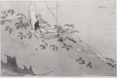 Winter-Greens by Bolton Coit Brown