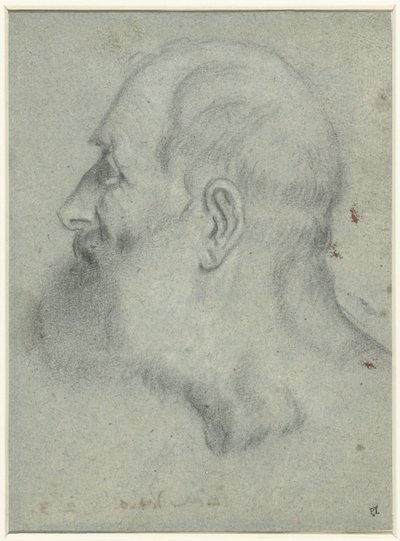 Head of a Bearded Man in Profile to the Left by Bonifazio Veronese (attributed to)