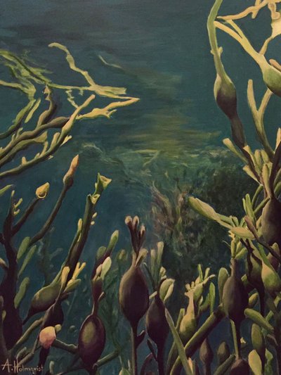 Underwater Kelp Forest by Borgenhag Holmqvist