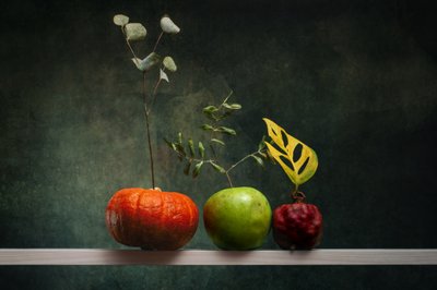 Autumn Fruit Arrangement by Brig Barkow