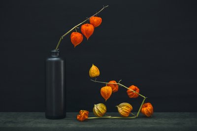 Chinese Lantern Glow by Brig Barkow