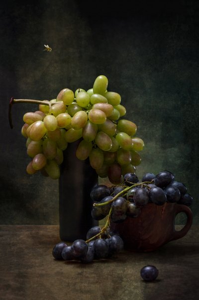 Dark Grapes and Bee by Brig Barkow