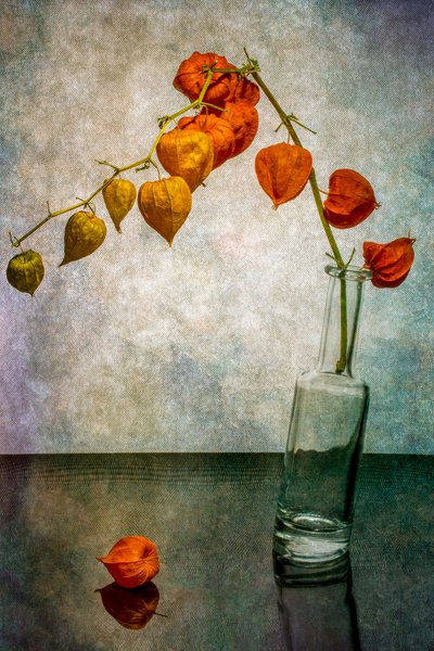 Glowing Autumn Lanterns by Brig Barkow