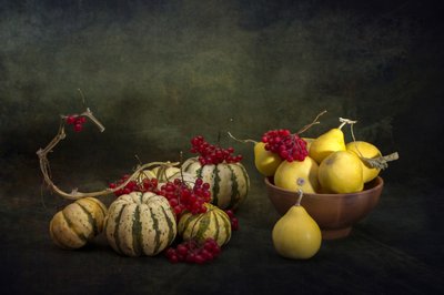 Harvest Gourds and Berries by Brig Barkow
