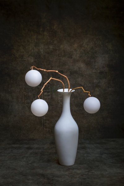 Minimalist Vase Display by Brig Barkow