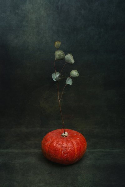 Moody Pumpkin Eucalyptus by Brig Barkow
