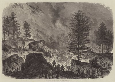 Great Fire in the Forest of Fontainebleau by Burn Smeeton
