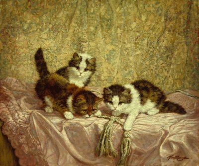 Playful Kittens by C. Raaphorst