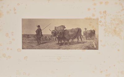 Returning from Labour by Caldesi and Montecchi