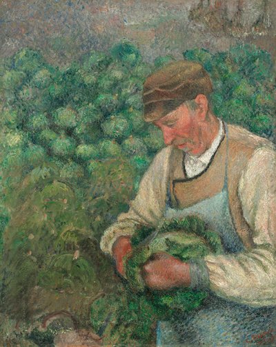 The Gardener - Old Peasant with Cabbage, 1883-1895 by Camille Pissarro