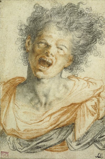 A Young Man Shouting by Camillo Procaccini
