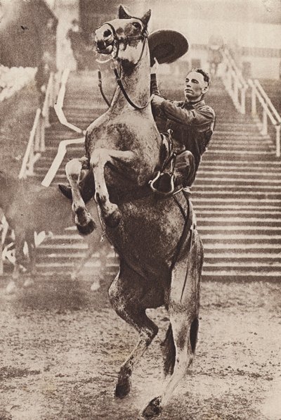 Cowboy in control of a rearing horse by Canadian Photographer