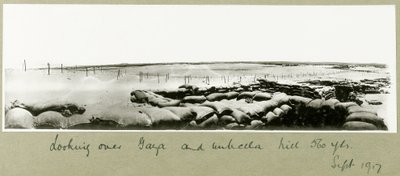 Looking over Gaza and Umbrella Hill, September 1917 by Capt. Arthur Rhodes