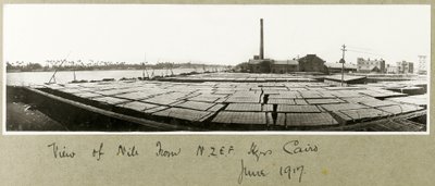 View of the Nile from N.Z.M.F.A. Headquarters, Cairo, June 1917 by Capt. Arthur Rhodes