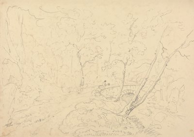 Holne Chase Bridge and River, 30 May 1833 by Capt. Thomas Hastings